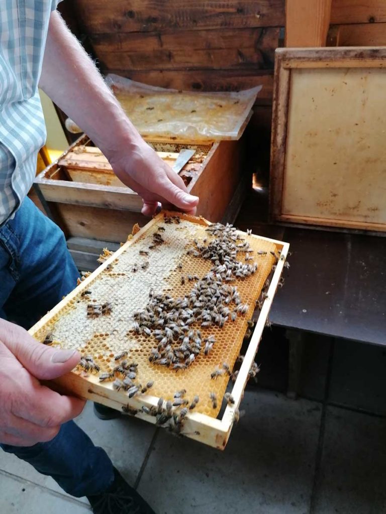 Bienenwachsplatte-imker-web